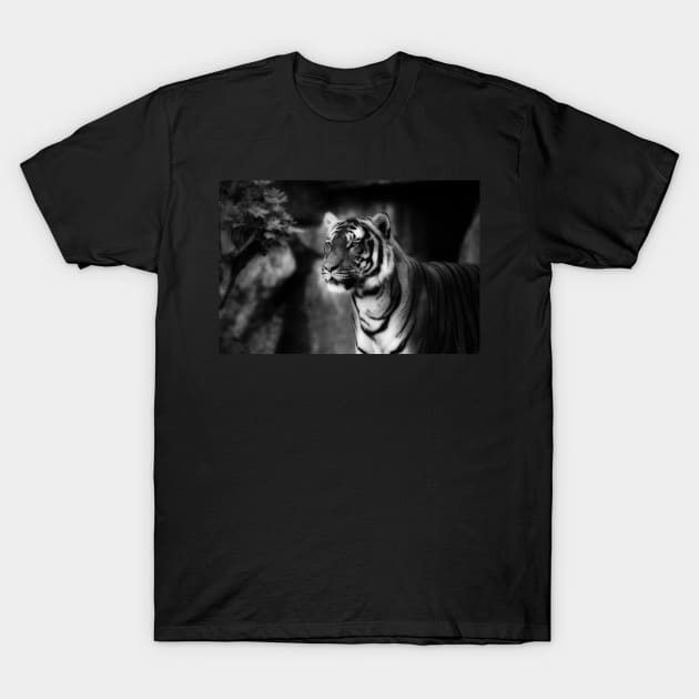 sebirian tiger, tiger black and white T-Shirt by hottehue